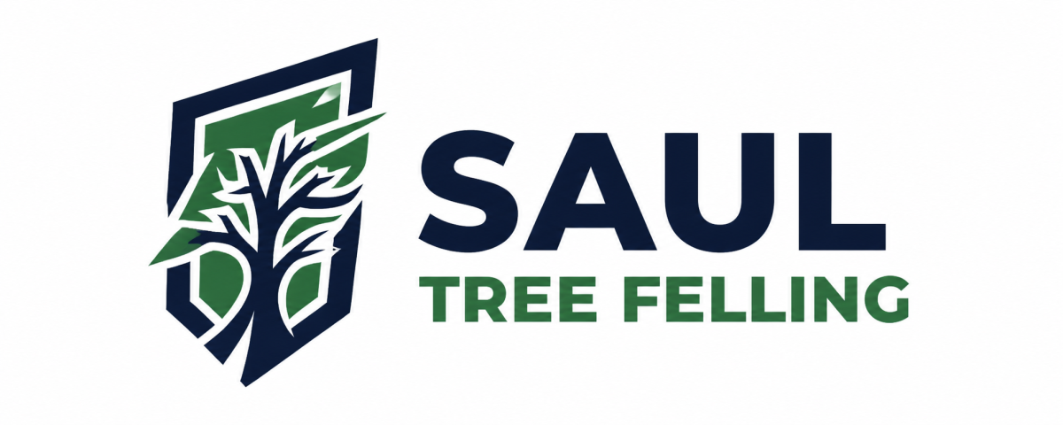 Saul Tree Felling